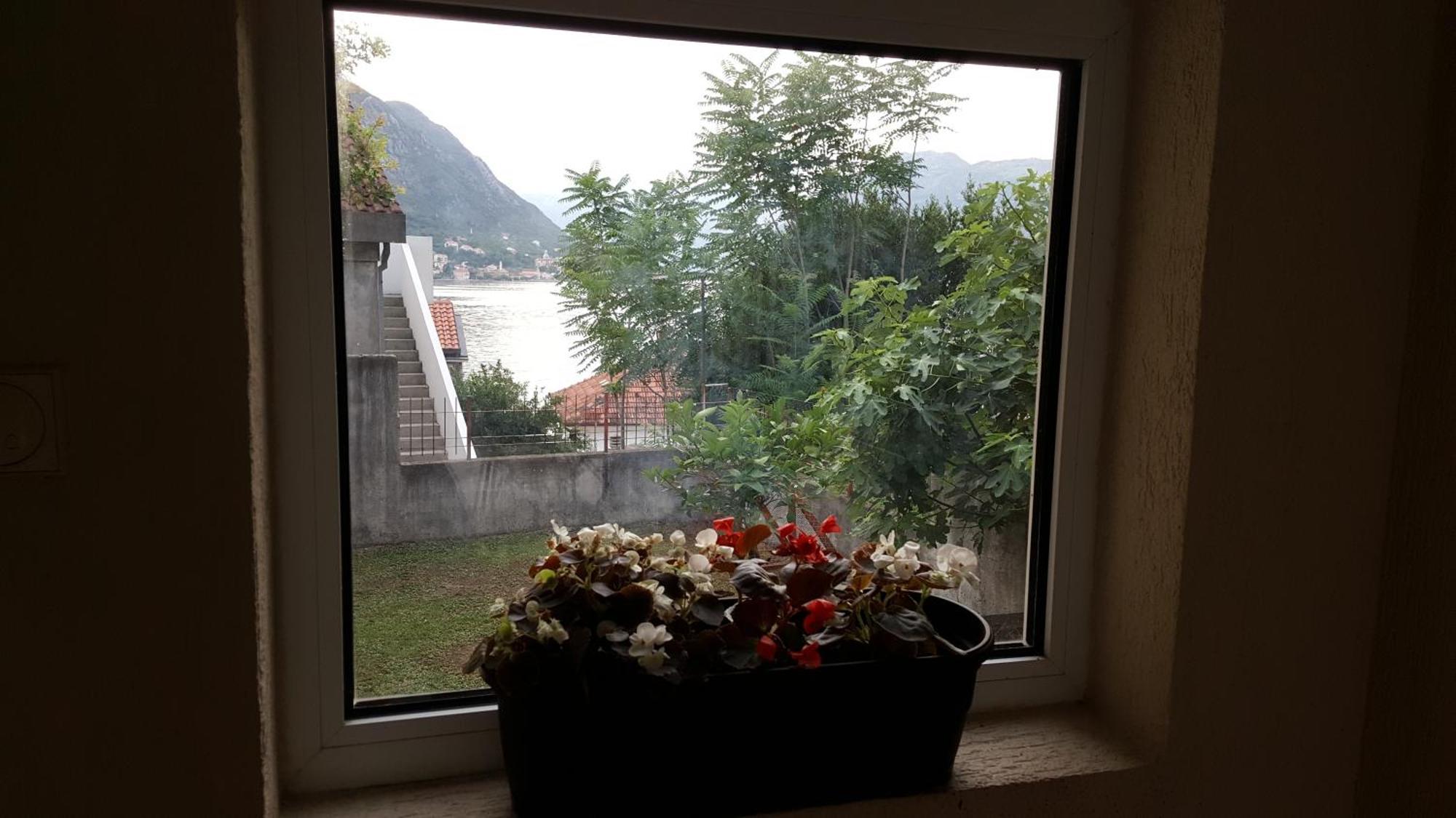 Apartments 101 Kotor Ruang foto