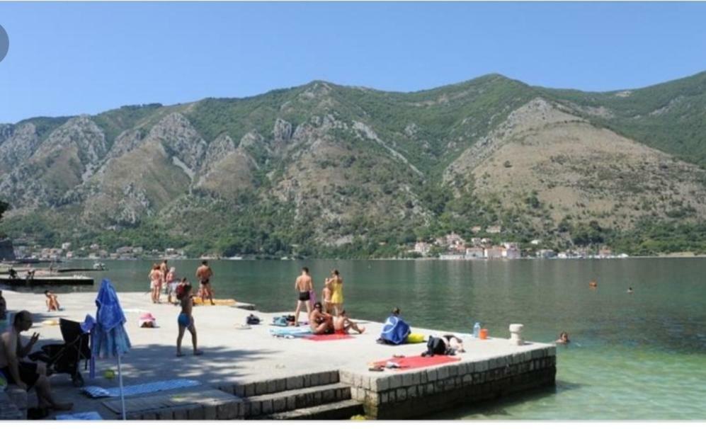 Apartments 101 Kotor Bagian luar foto